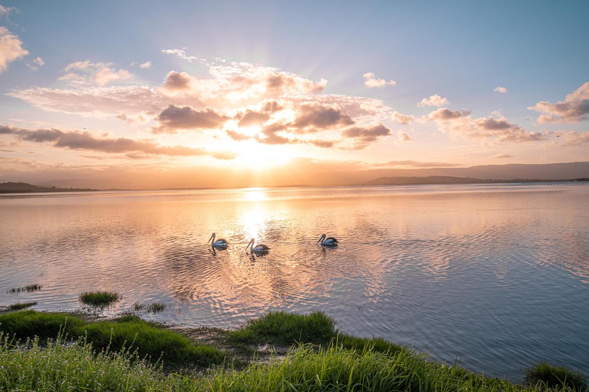 Lakeside Inn Wollongong Primbee ภายนอก รูปภาพ
